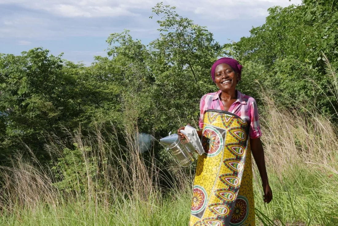 A beekeeper carrying a smoker through tall grass